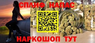 ешки Будённовск