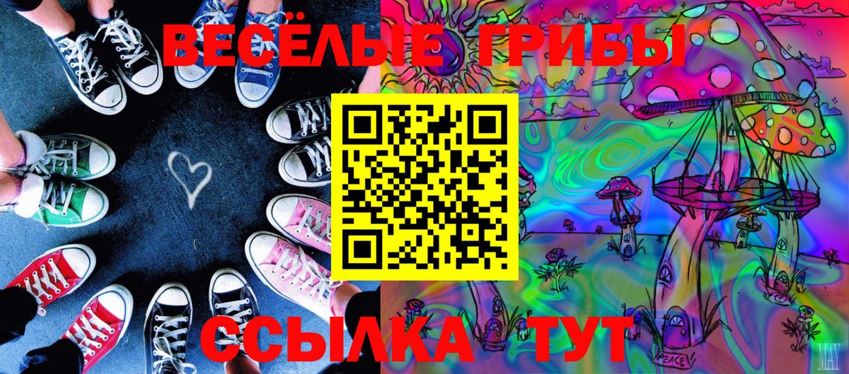 Псилоцибиновые грибы GOLDEN TEACHER Кумертау