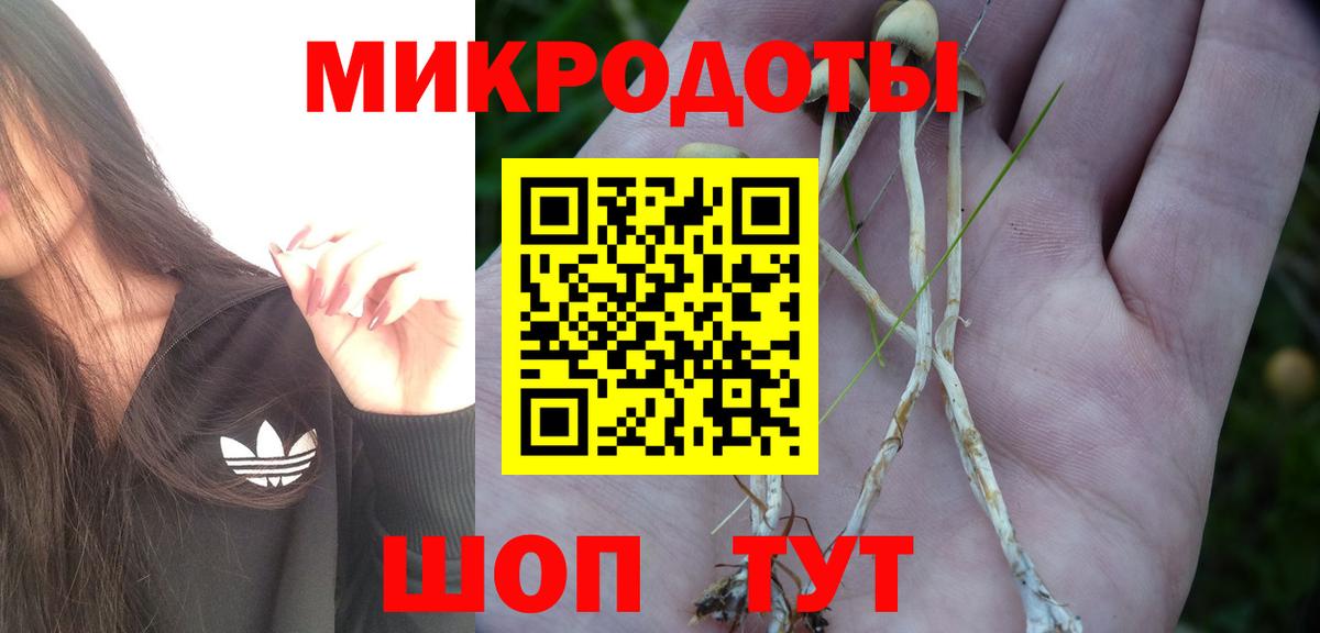 Кумертау  Псилоцибиновые грибы Psilocybe  купить закладку  Вход с VPN 